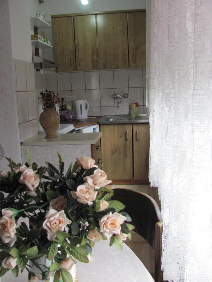 Apartment Safir - Free Parking Sarajevo Bagian luar foto